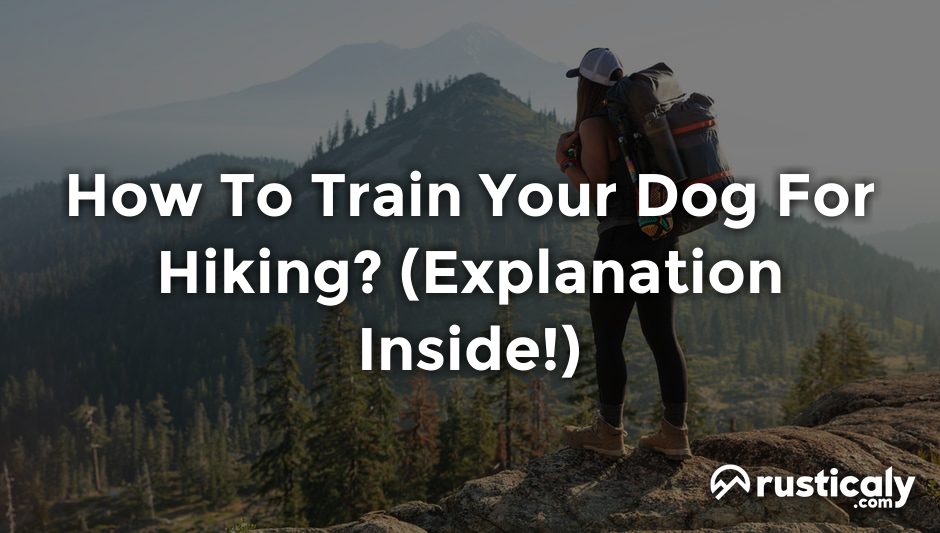 how to train your dog for hiking