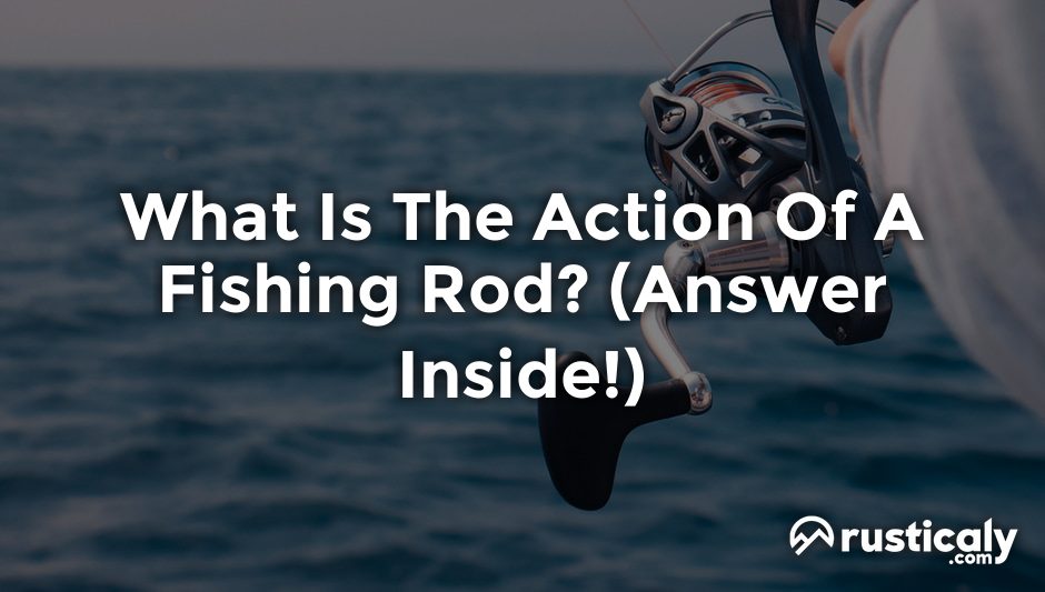 what is the action of a fishing rod
