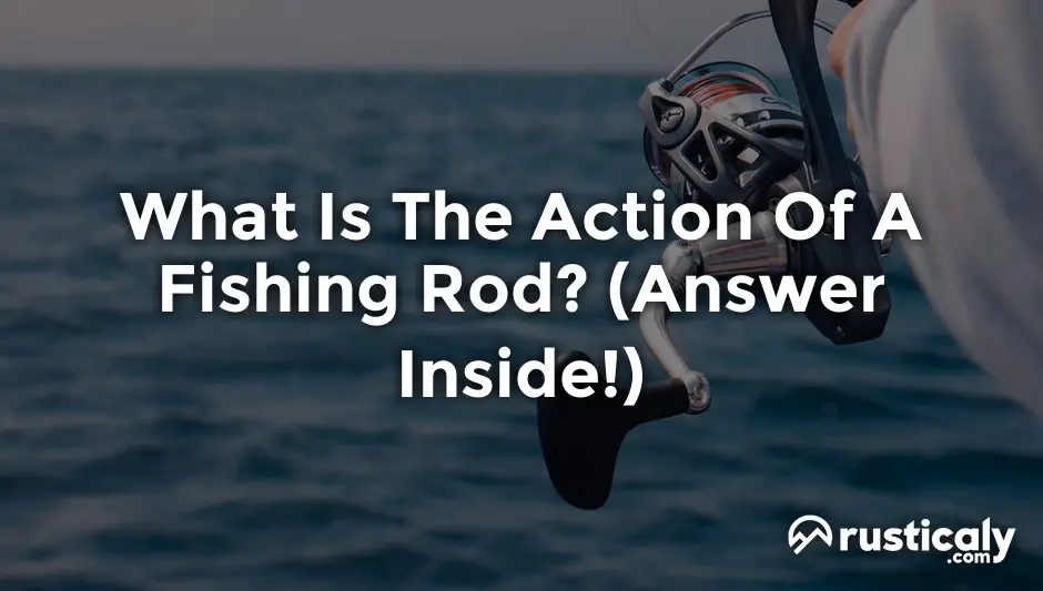 what is the action of a fishing rod