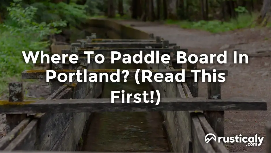 where to paddle board in portland