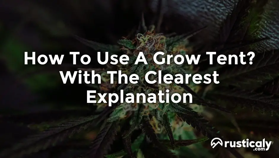 how to use a grow tent