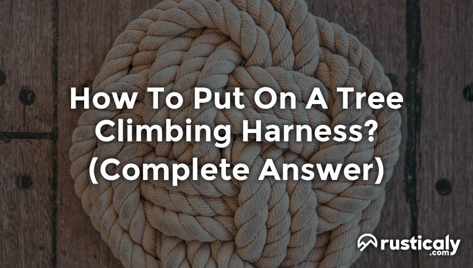 how to put on a tree climbing harness