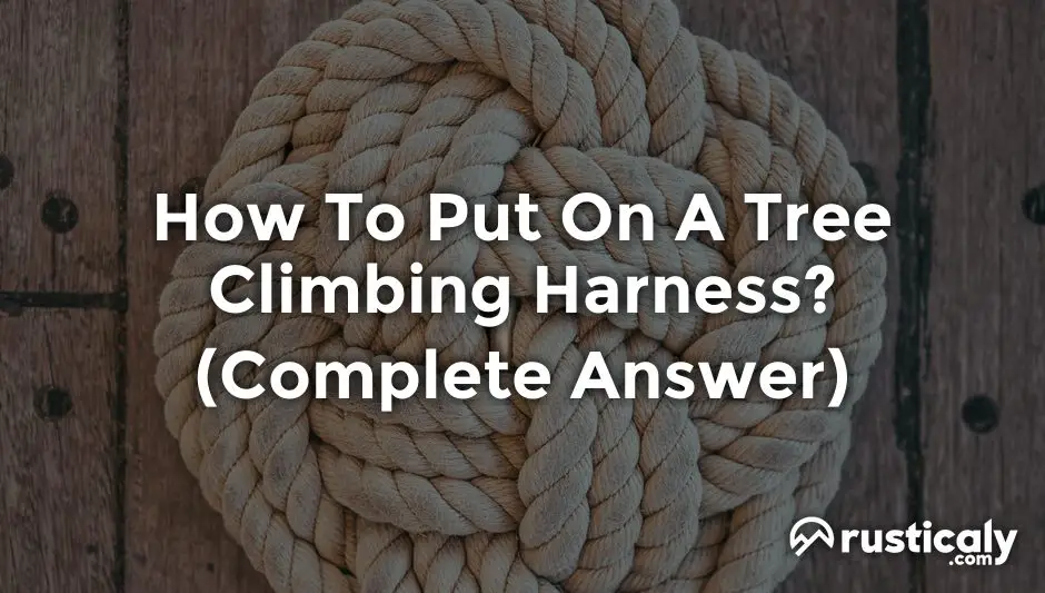 How To Put On A Tree Climbing Harness? (Detailed Guide)