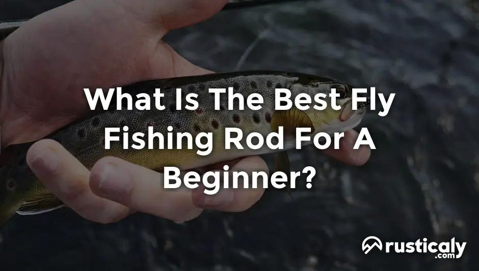 what is the best fly fishing rod for a beginner