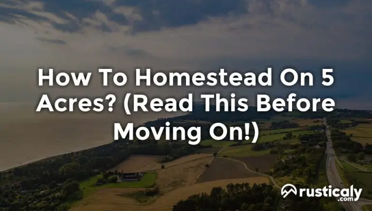 how to homestead on 5 acres