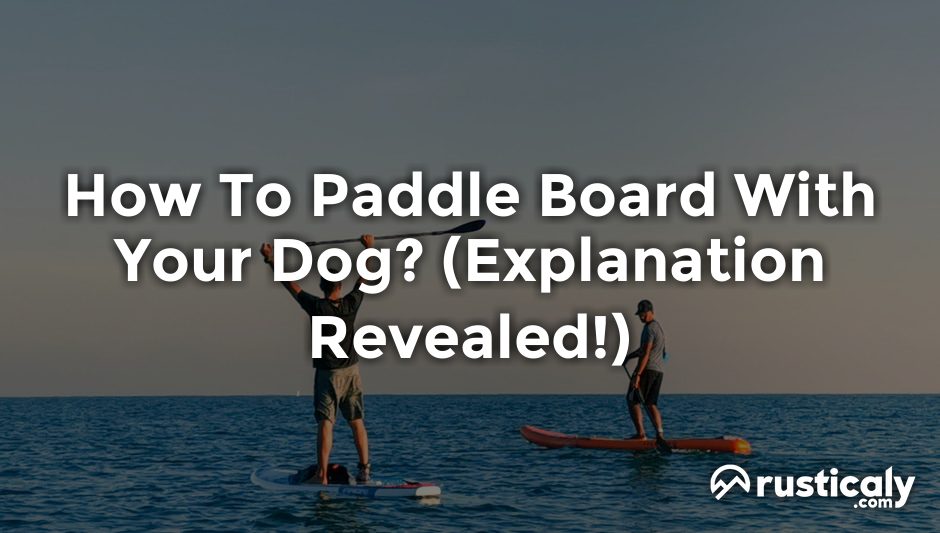 how to paddle board with your dog
