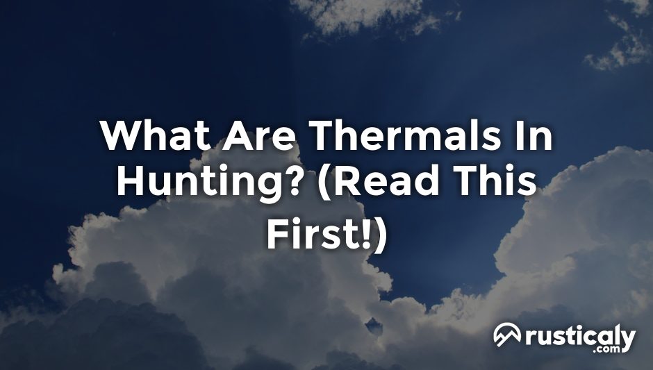 what are thermals in hunting