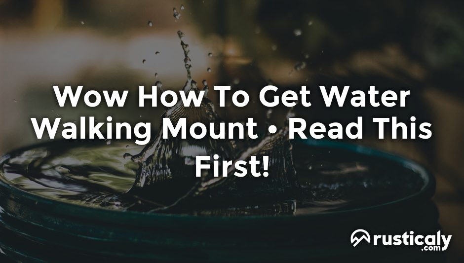 wow how to get water walking mount