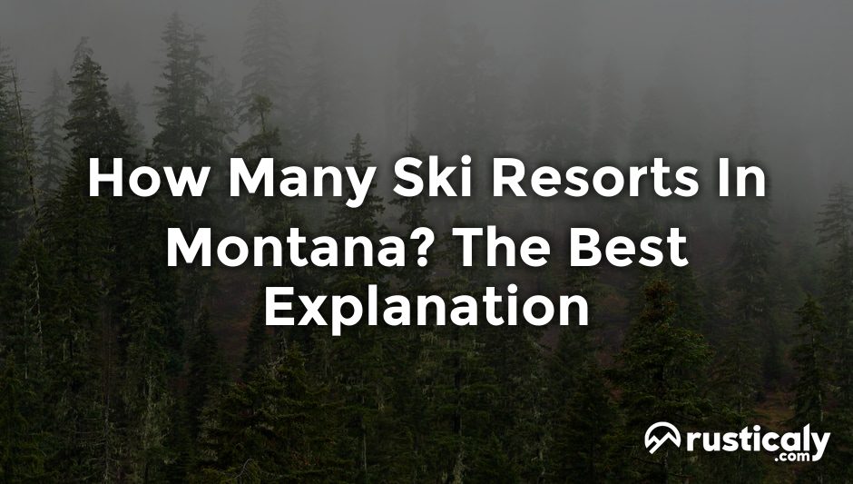 how many ski resorts in montana