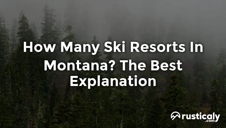 How Many Ski Resorts In Montana? (Explained for Beginners)