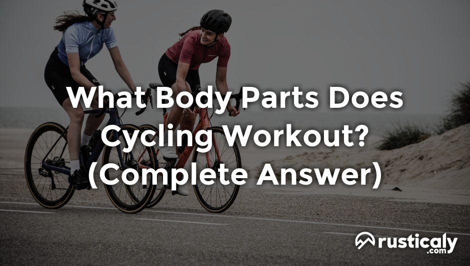what body parts does cycling workout