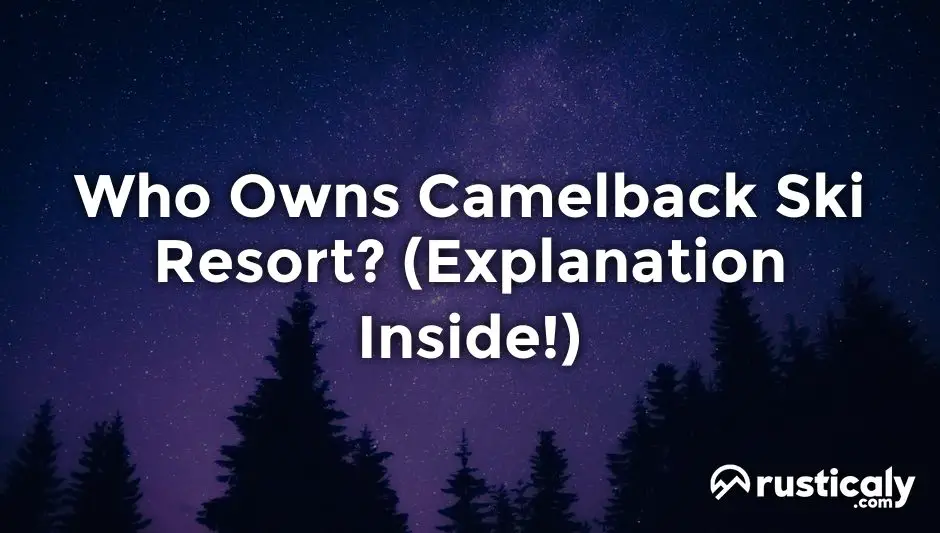 who owns camelback ski resort