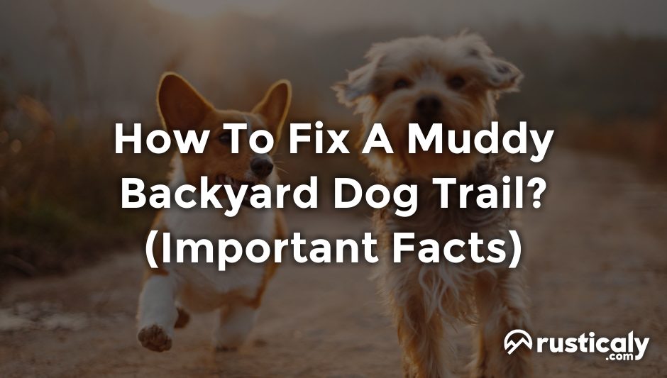 how to fix a muddy backyard dog trail