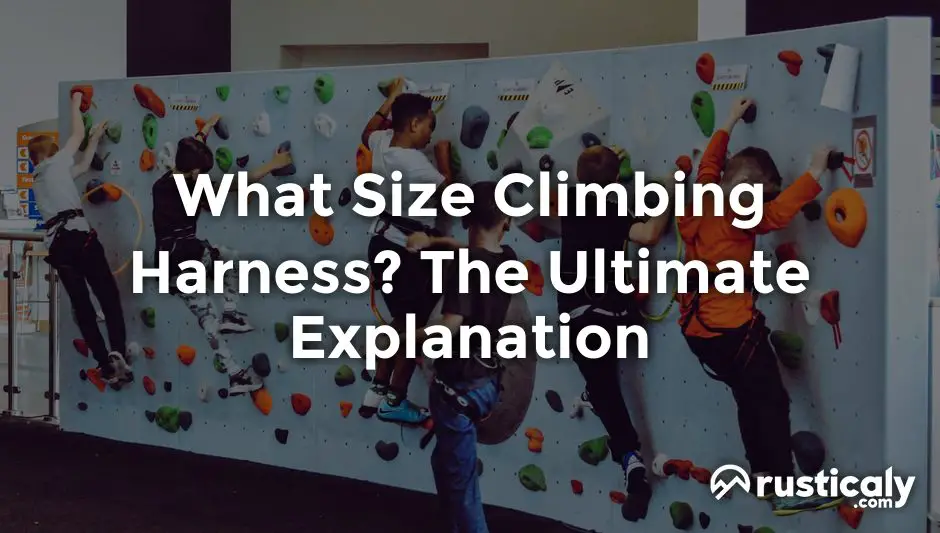 what size climbing harness