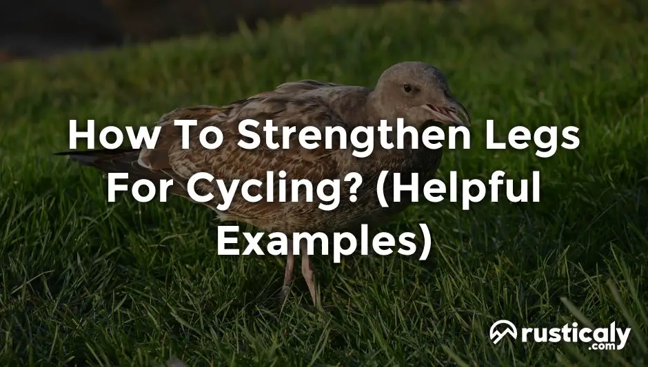 how to strengthen legs for cycling