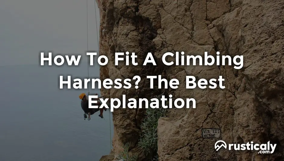 how to fit a climbing harness