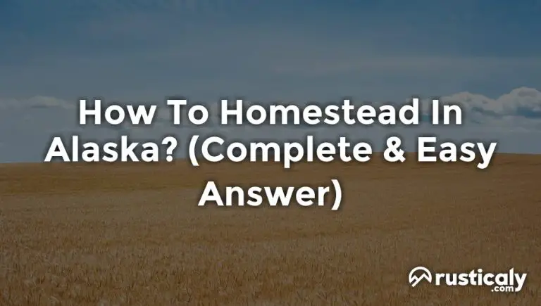 how to homestead in alaska