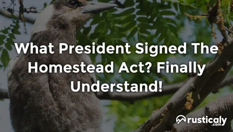 what president signed the homestead act?