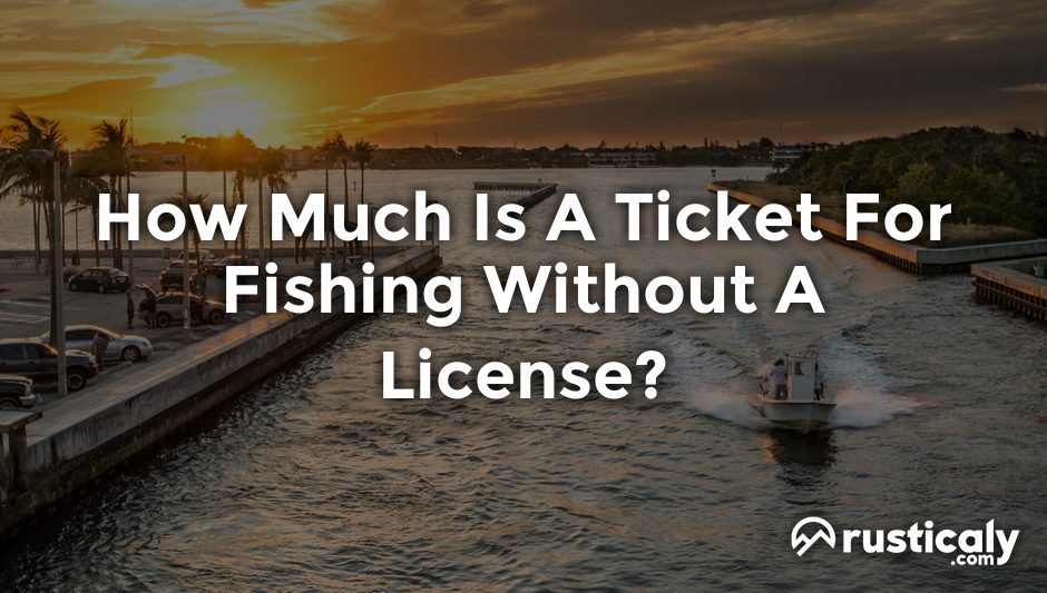 how much is a ticket for fishing without a license