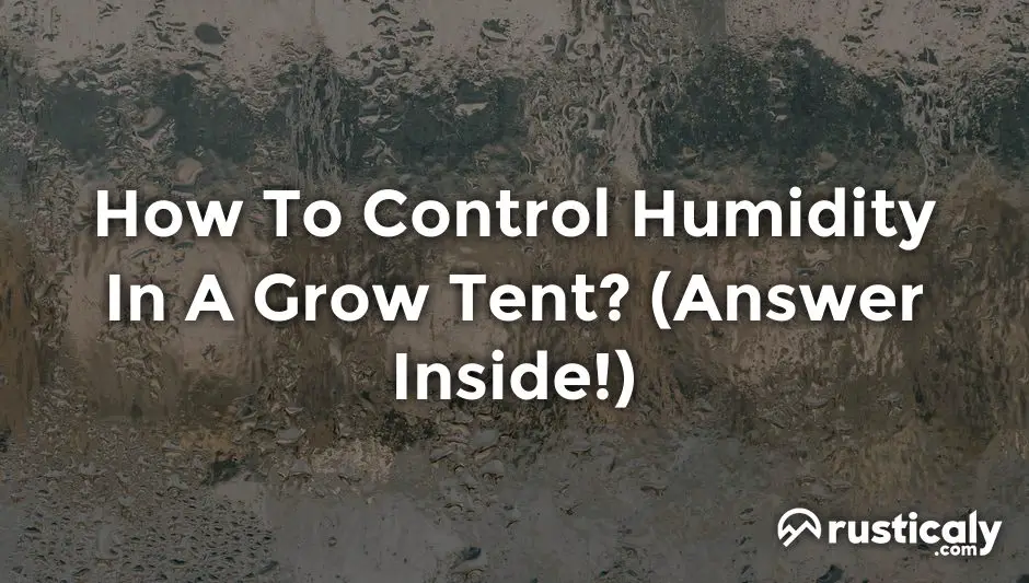 how to control humidity in a grow tent