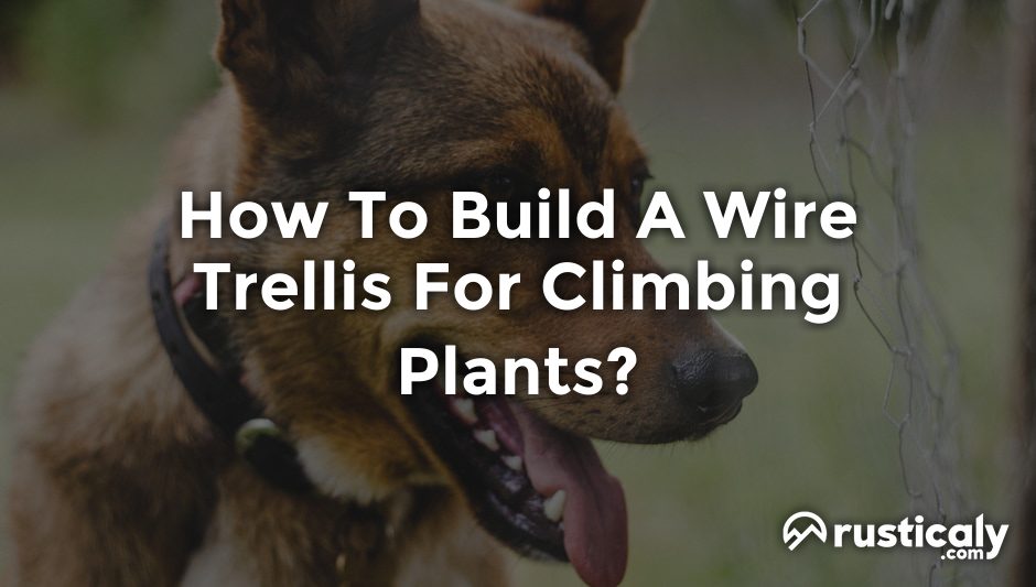 how to build a wire trellis for climbing plants