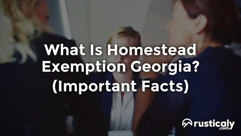 what is homestead exemption georgia