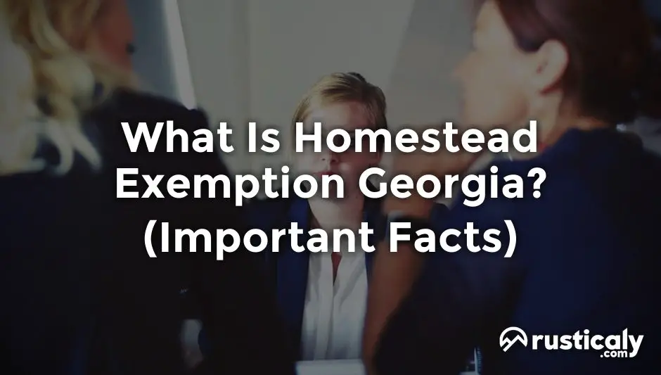 what is homestead exemption georgia