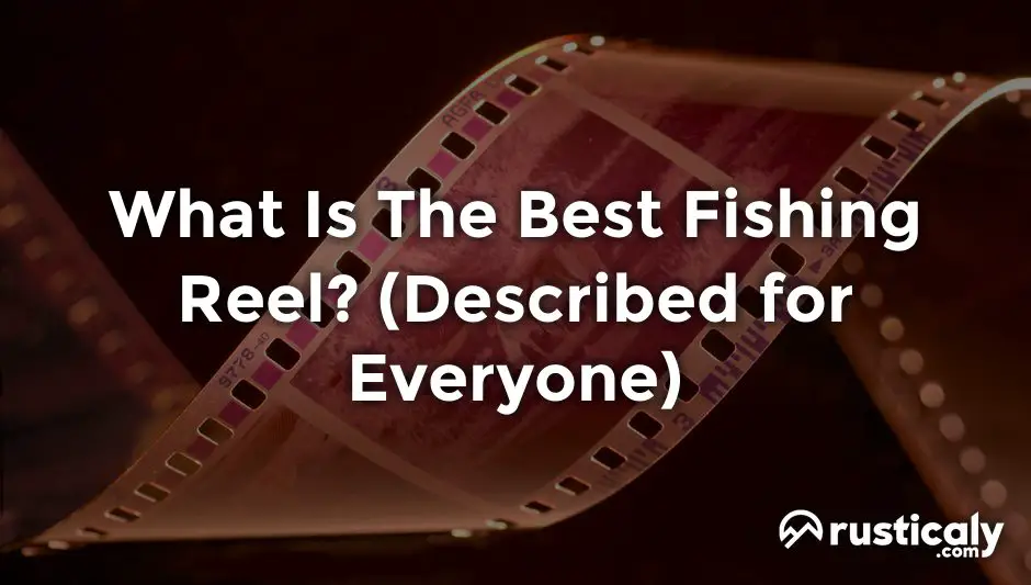 what is the best fishing reel
