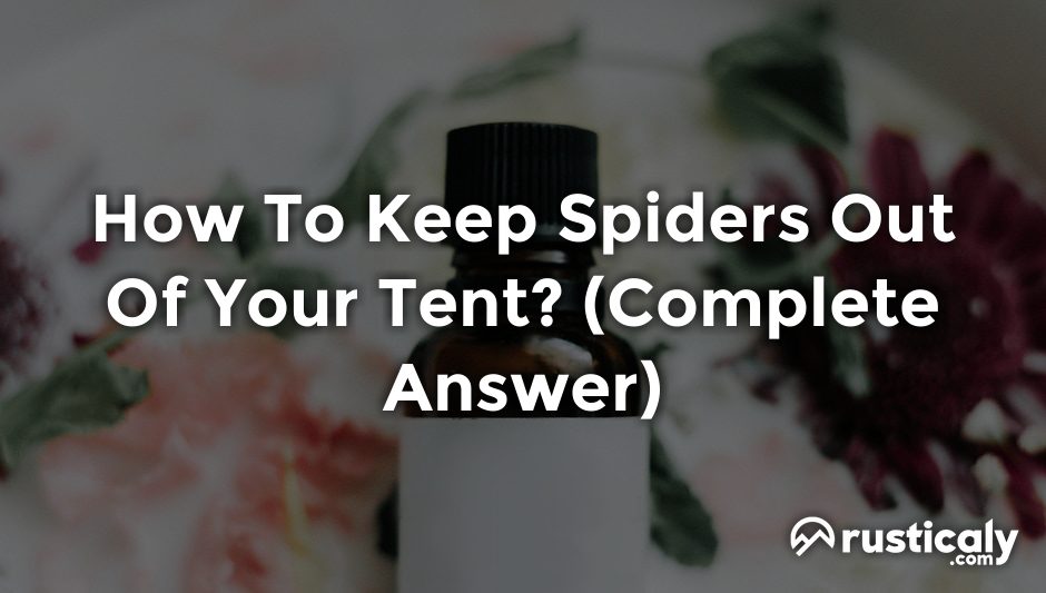 how to keep spiders out of your tent