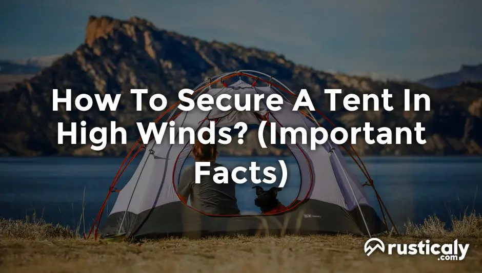 How To Secure A Tent In High Winds? (Detailed Guide)
