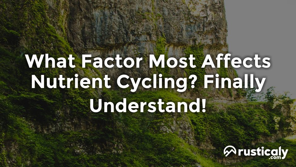 what factor most affects nutrient cycling?