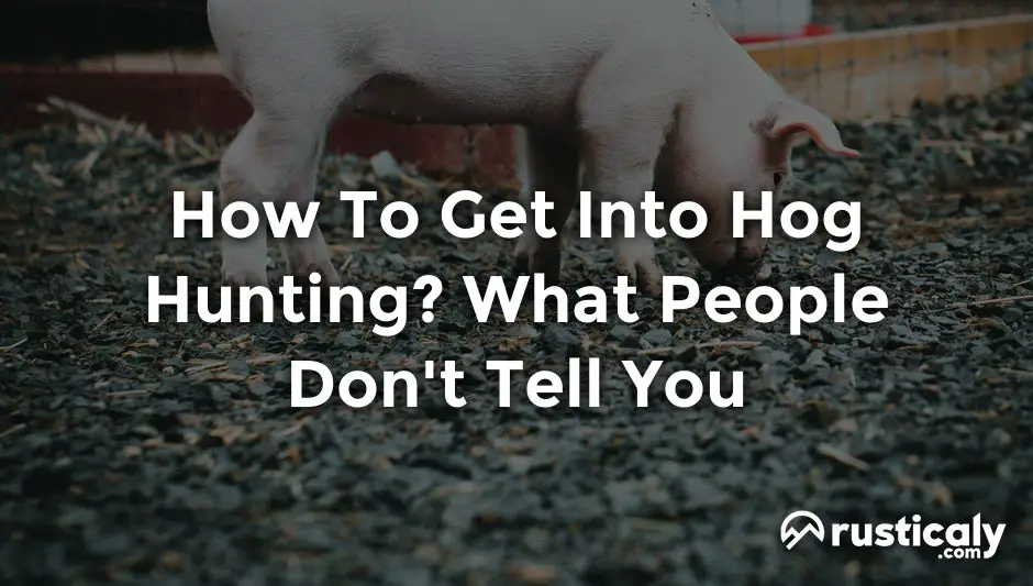 how to get into hog hunting