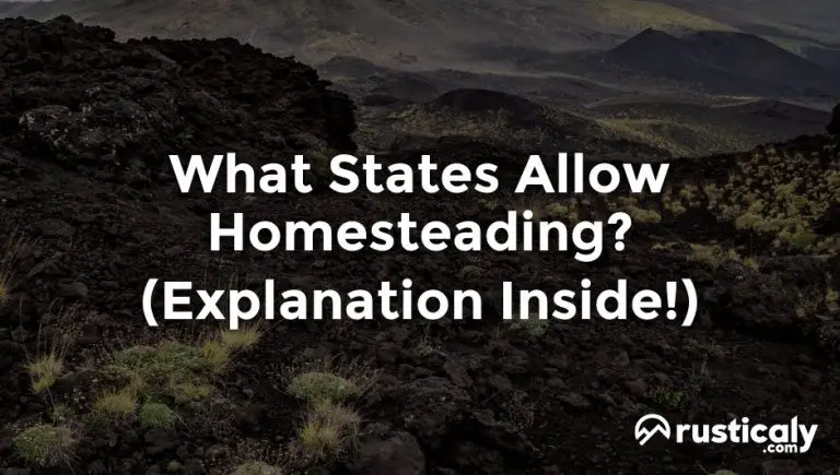 what states allow homesteading