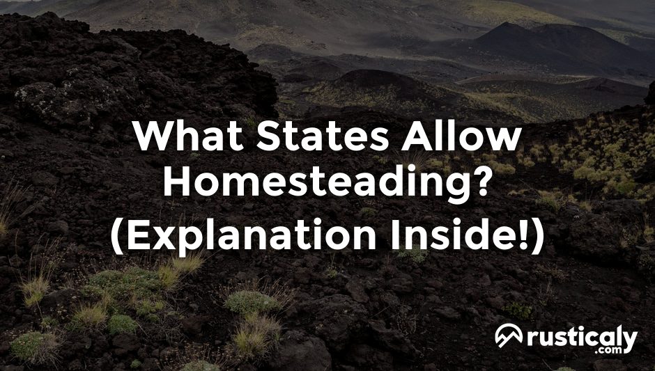 what states allow homesteading