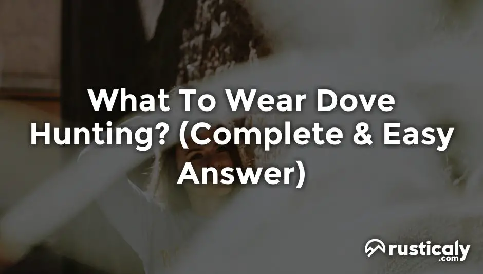 what to wear dove hunting