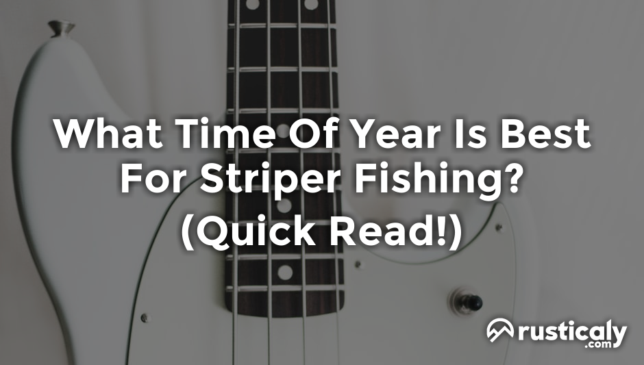 what time of year is best for striper fishing