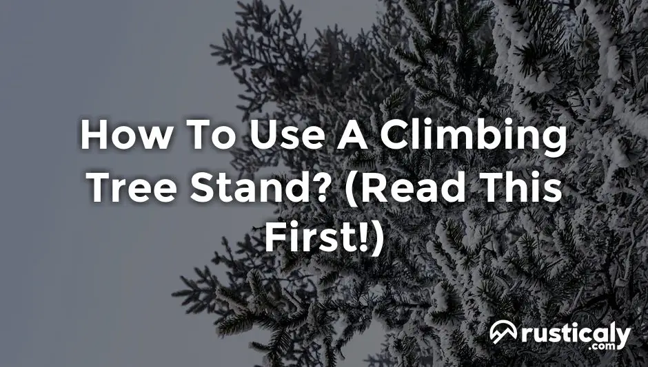 how to use a climbing tree stand