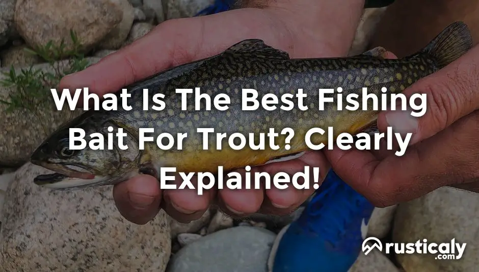 what is the best fishing bait for trout