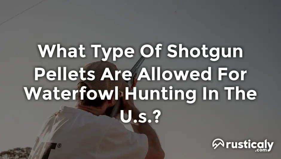 what type of shotgun pellets are allowed for waterfowl hunting in the u.s.