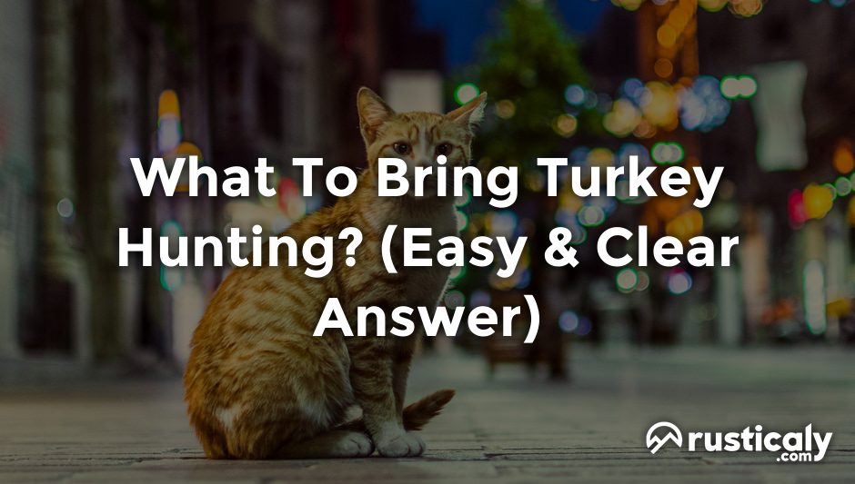 what to bring turkey hunting