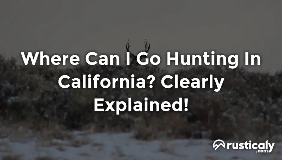 where can i go hunting in california