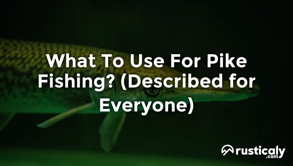 what to use for pike fishing