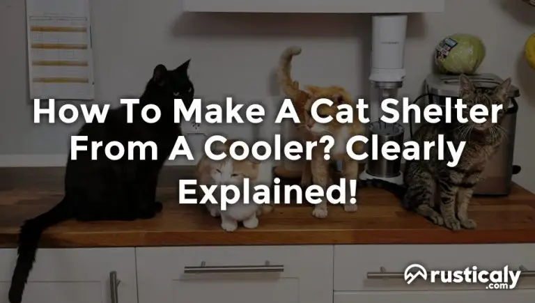 how to make a cat shelter from a cooler