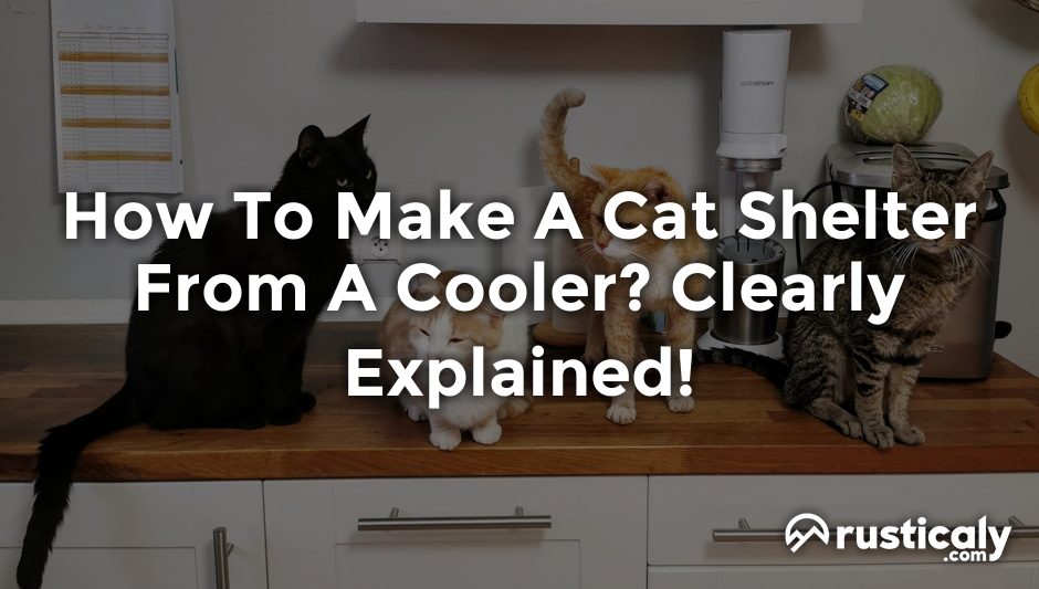 how to make a cat shelter from a cooler