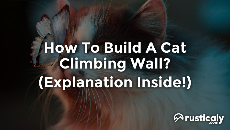 how to build a cat climbing wall