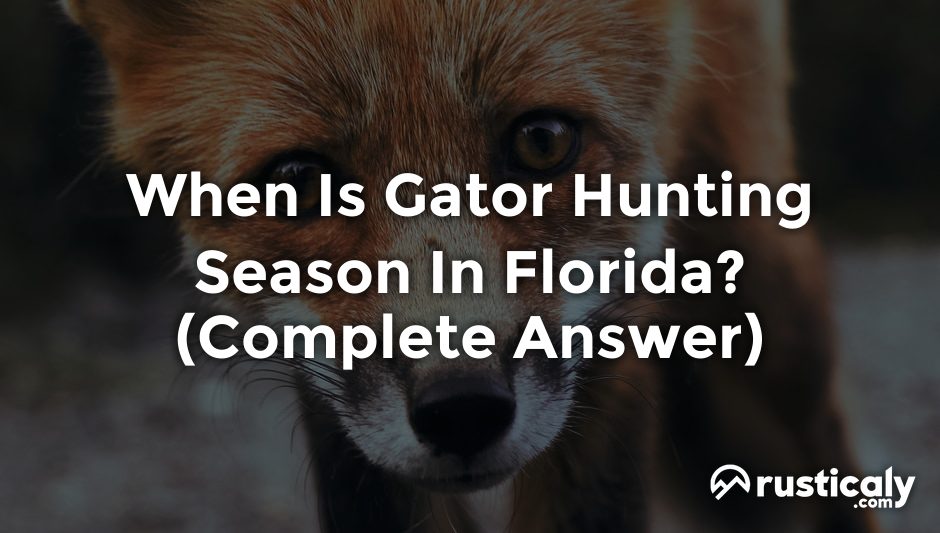 when is gator hunting season in florida