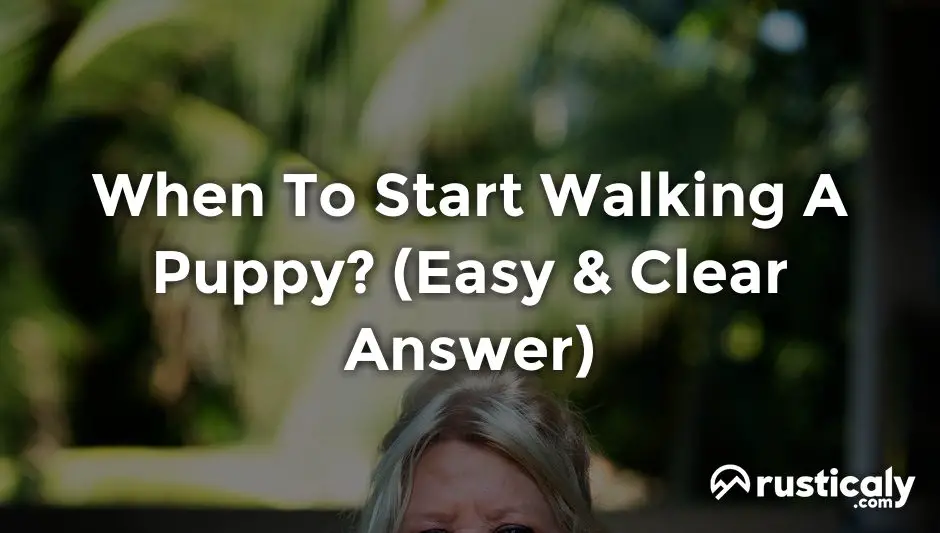 when to start walking a puppy