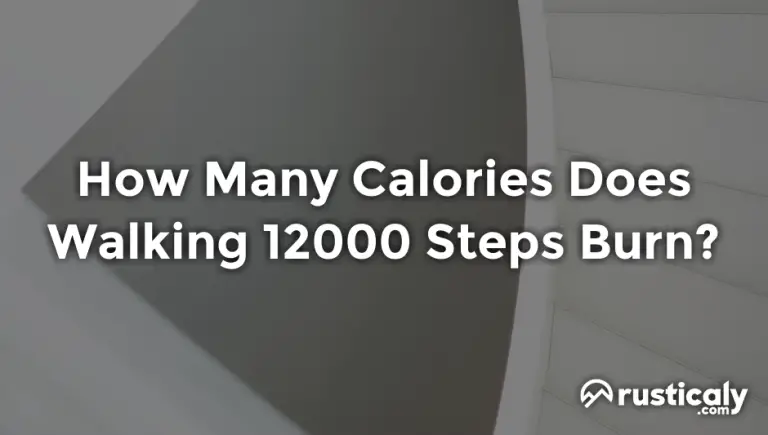 How Many Calories Burned In 12000 Steps