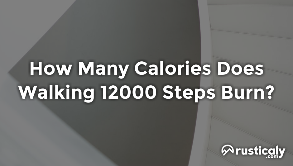 how many calories does walking 12000 steps burn
