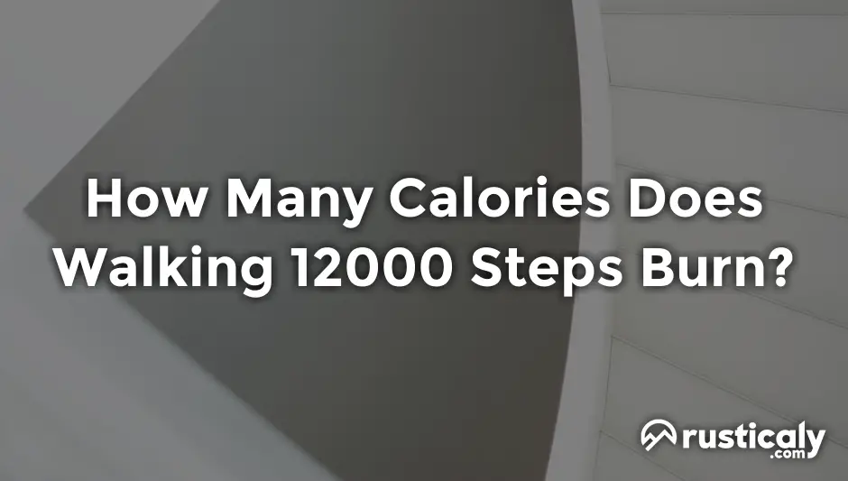 How Many Calories Does Walking 12000 Steps Burn